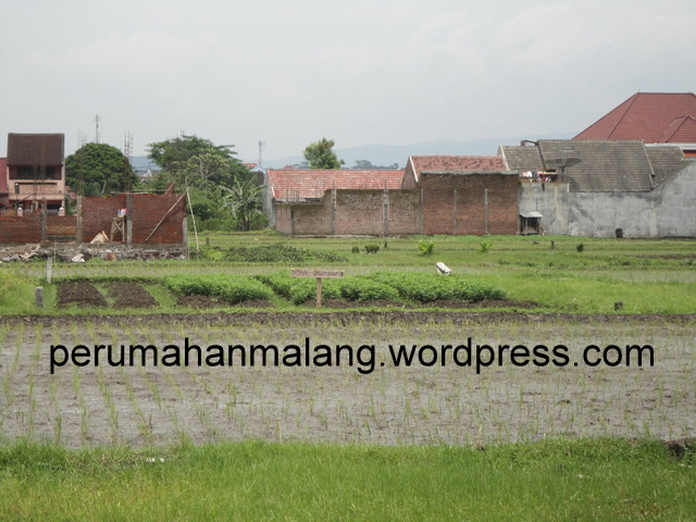 Tanah dijual dibawah 100 jt  Info Perumahan di Malang